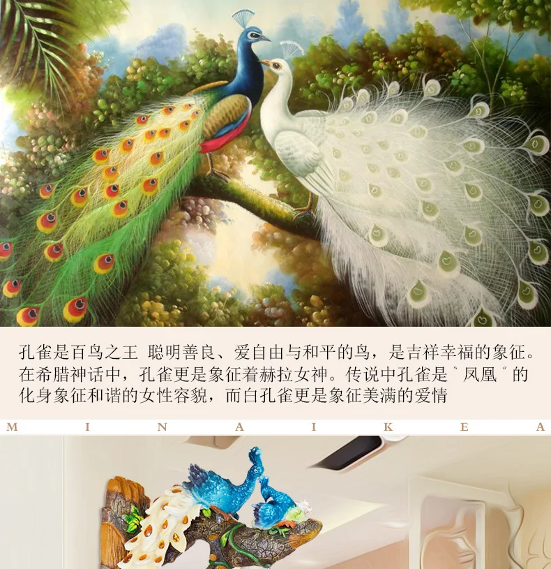 产品描述(2)