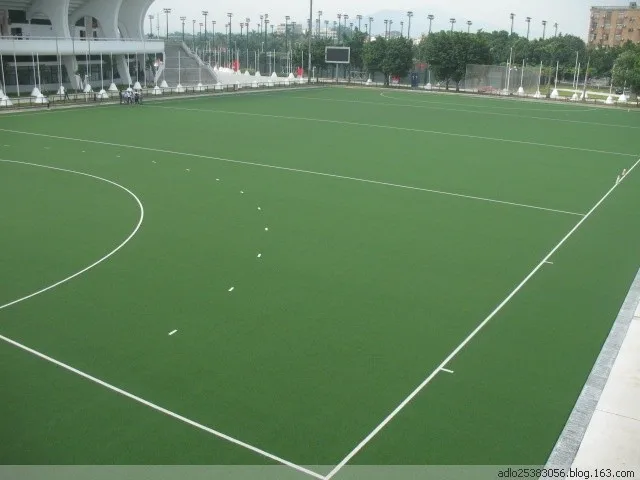 cricket hockey turf (2)