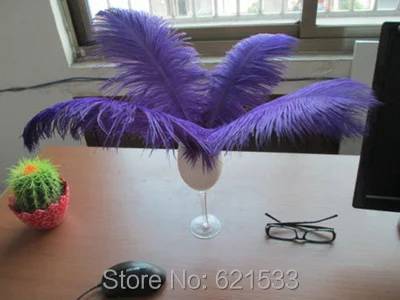FO110 (6)