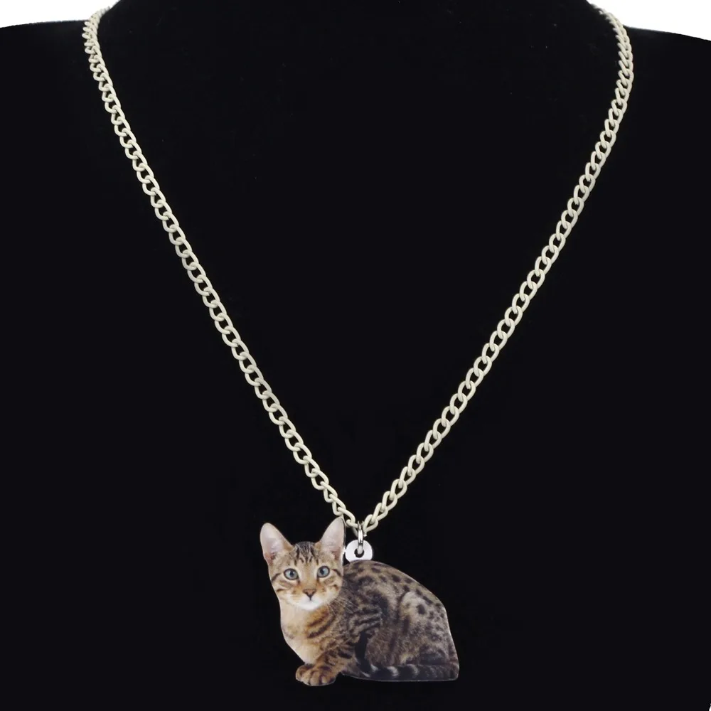 Bonsny массивные акриловые серьги с изображением кота из мультфильма Котенок