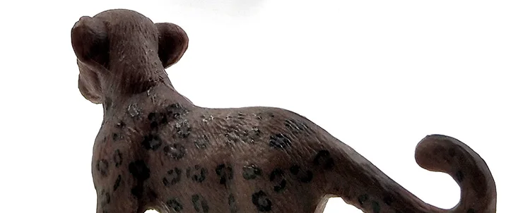 -2--DW-M-LP531-535_09