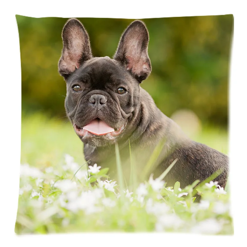 Decorative Cushion Cover French Bulldog Throw Pillow Case for Sofa Bed