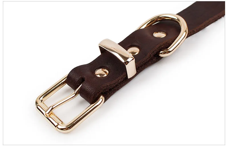 SYDZSW Top Grade Leather Dog Collar Pet Leads Alloy Buckle Labrador German Shepherd Dog Collar Lrage Dog Products 2.556cm3