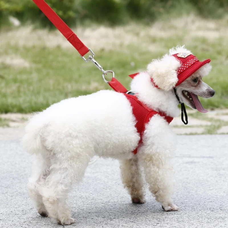 Летняя собака мелких пород бейсбольная Кепка шляпа с ушными отверстиями холст для собак аксессуары походные товары для животных 4 цвета