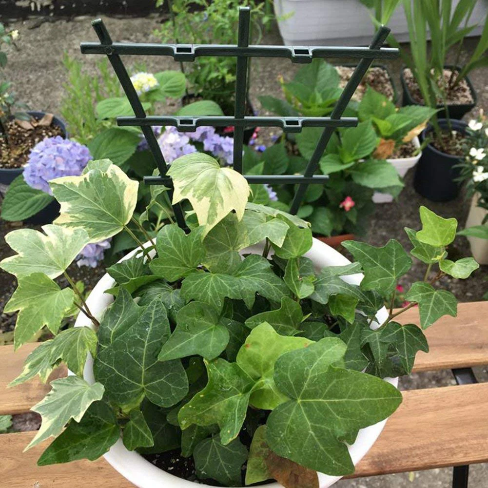 

2pcs DIY Plastic Plant Support Frame Pot Bracket Shelf Climbing Flower Fixed Plant Growth Direction For Garden Vines Fastener