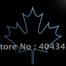 LB893-Канадский кленовый лист Дисплей Декор знак света
