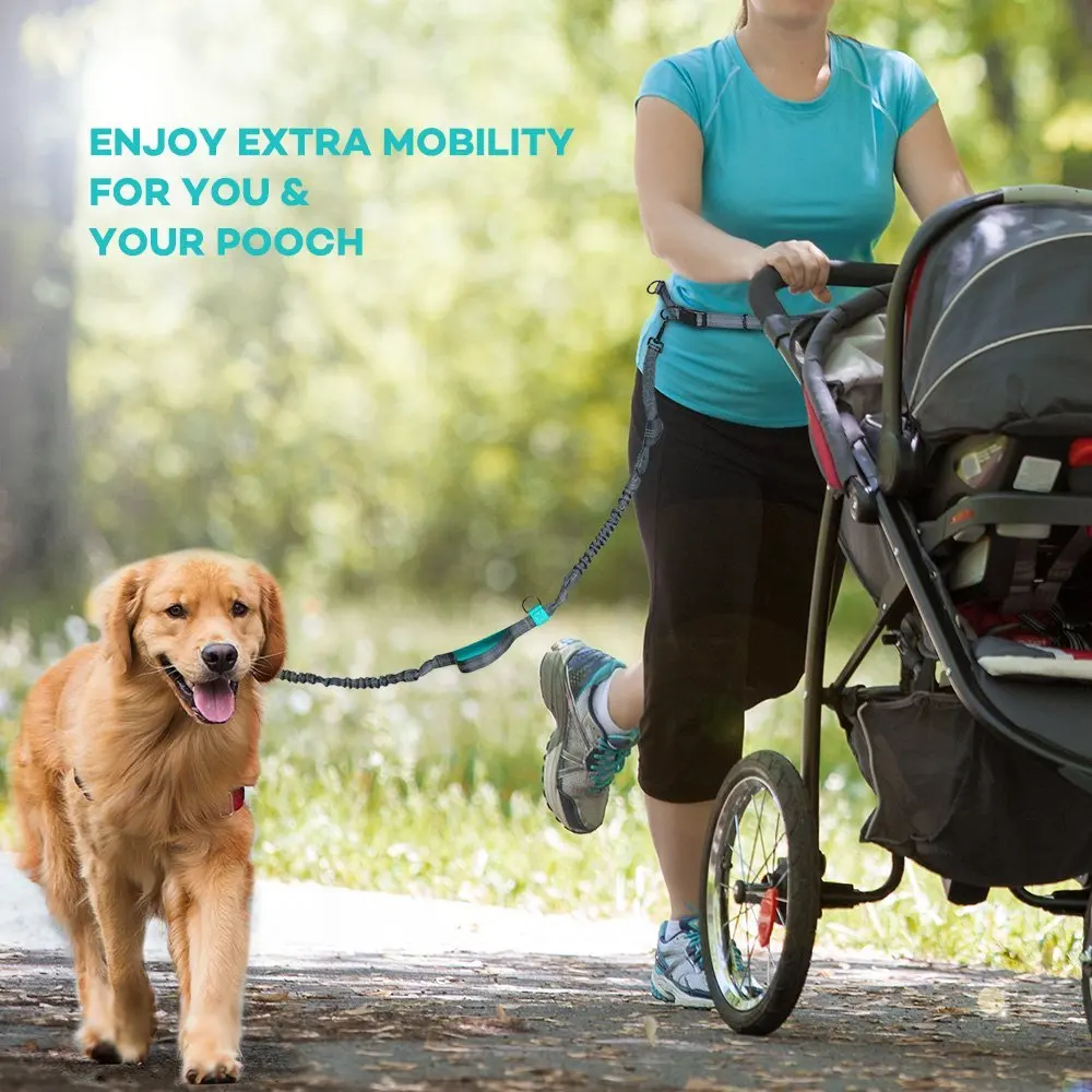 Running Hands Free Dog Leash Retractable Elastic Waist Dog Leash