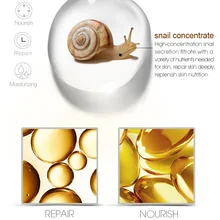 Горячий улиточный крем увлажняет восполняет чистый античувствительный крем wyt77