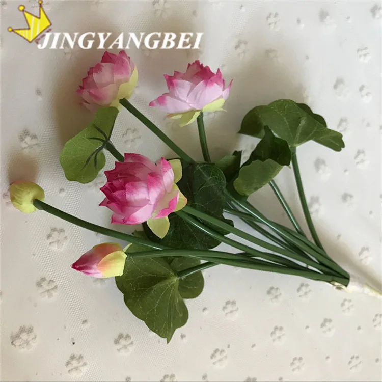 QQ20170615165916