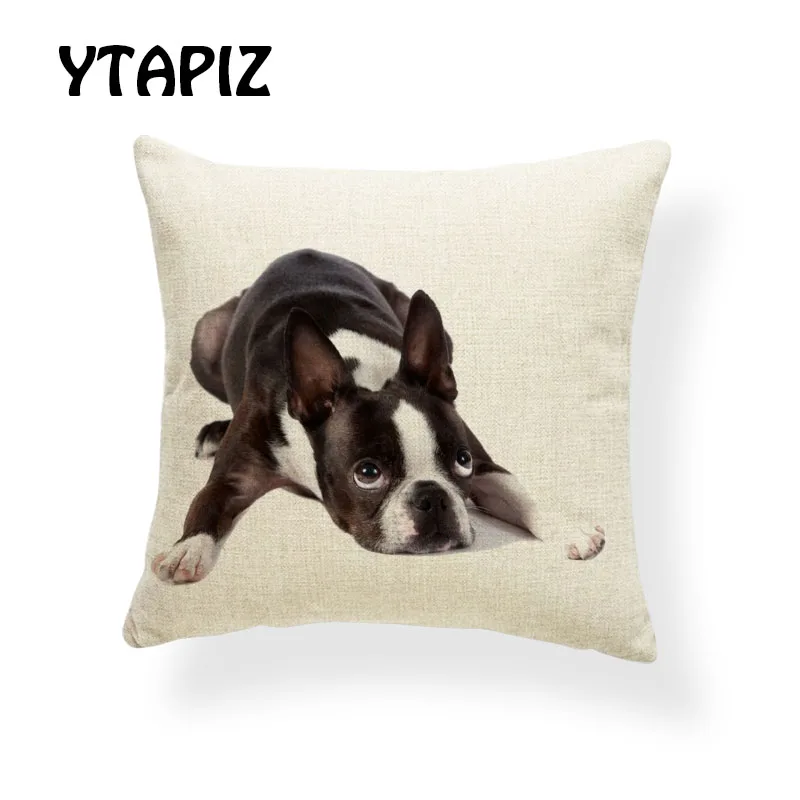 Роскошный питомец МАЛЬТИЙСКАЯ Собака Basset Beagle Schnauzer Shepherd золотистый ретривер
