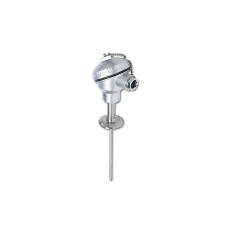 

Industrial Thermal Resistance PT100 Two Or Three-Wire Connection Flange Threaded Mounting With Base 304 Material