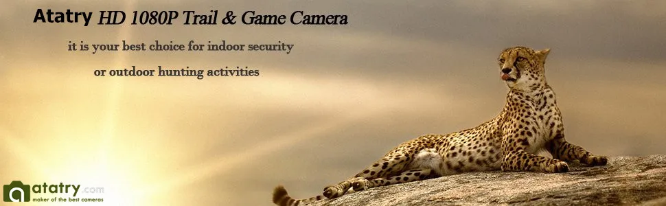 hunting cam