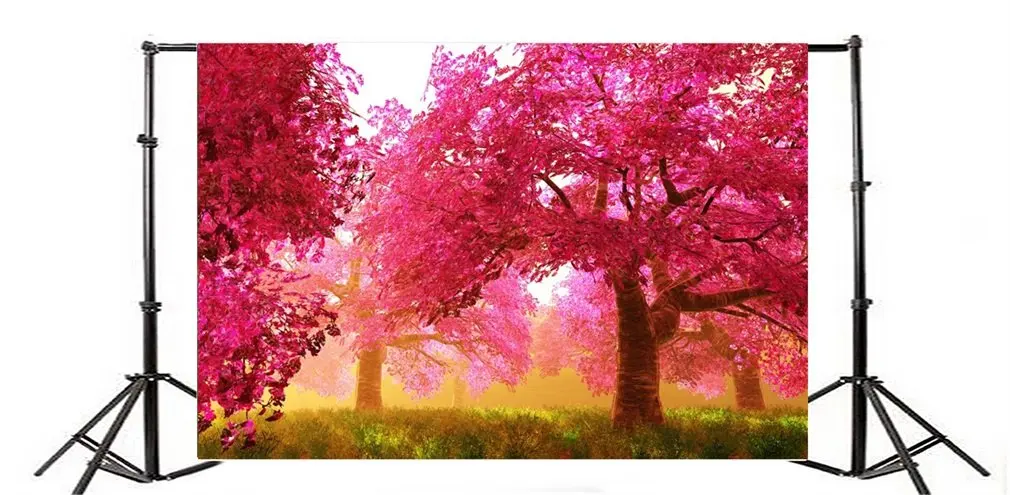 

Photography Backdrop Abstract Tree Nature Autumn