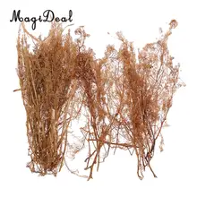 MagiDeal 1 paquete de diseño seco Natural Quinoa modelo árbol de manualidades paisaje para el tren RR Diorama tren ferroviario escena paisaje 25cm