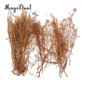 

MagiDeal 1Pack Layout Dry Natural Quinoa Model DIY Tree Landscape for RR Train Diorama Train Railway Railroad Scene Scenery 25cm