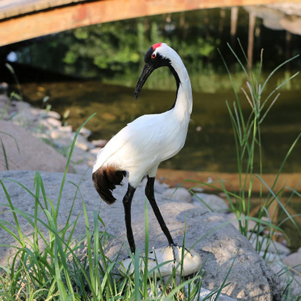 Живой искусственный Magpie, дятел, Shrike, Throstle, Павлин птица реалистичные Taxidermy украшения для дома и сада - Цвет: 9 Red-crowned Crane