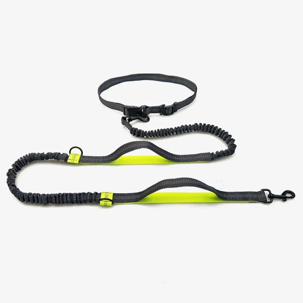 

Pet Dog Cat Running Jogging Padded Waist Belt Reflective Strip Elastic Leash Perfect Walking Training Dog Leash Set Hands Free