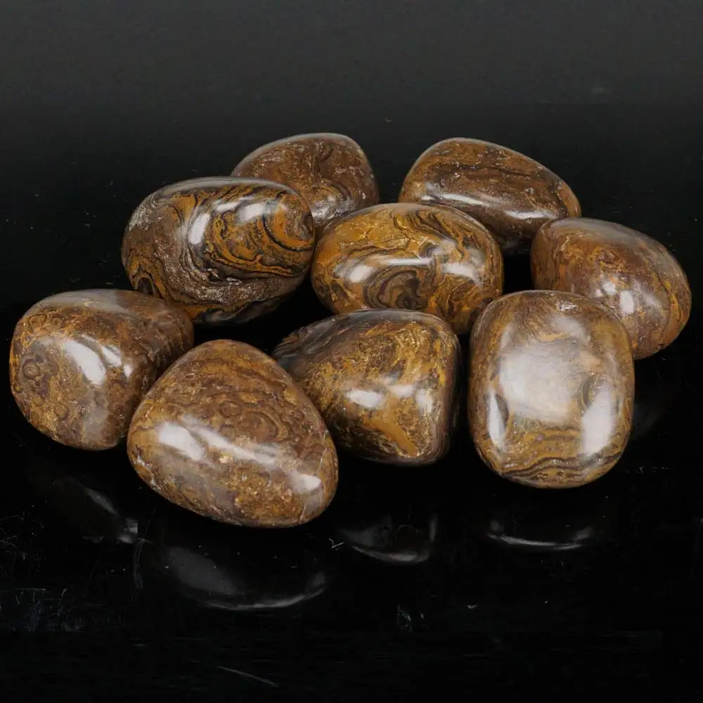 Buy Bulk Tumbled Stromatolite Fossil Stone Natural
