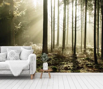 

[Self-Adhesive] 3D Sunlight Fog Woodland 36 Wall Paper mural Wall Print Decal Wall Murals