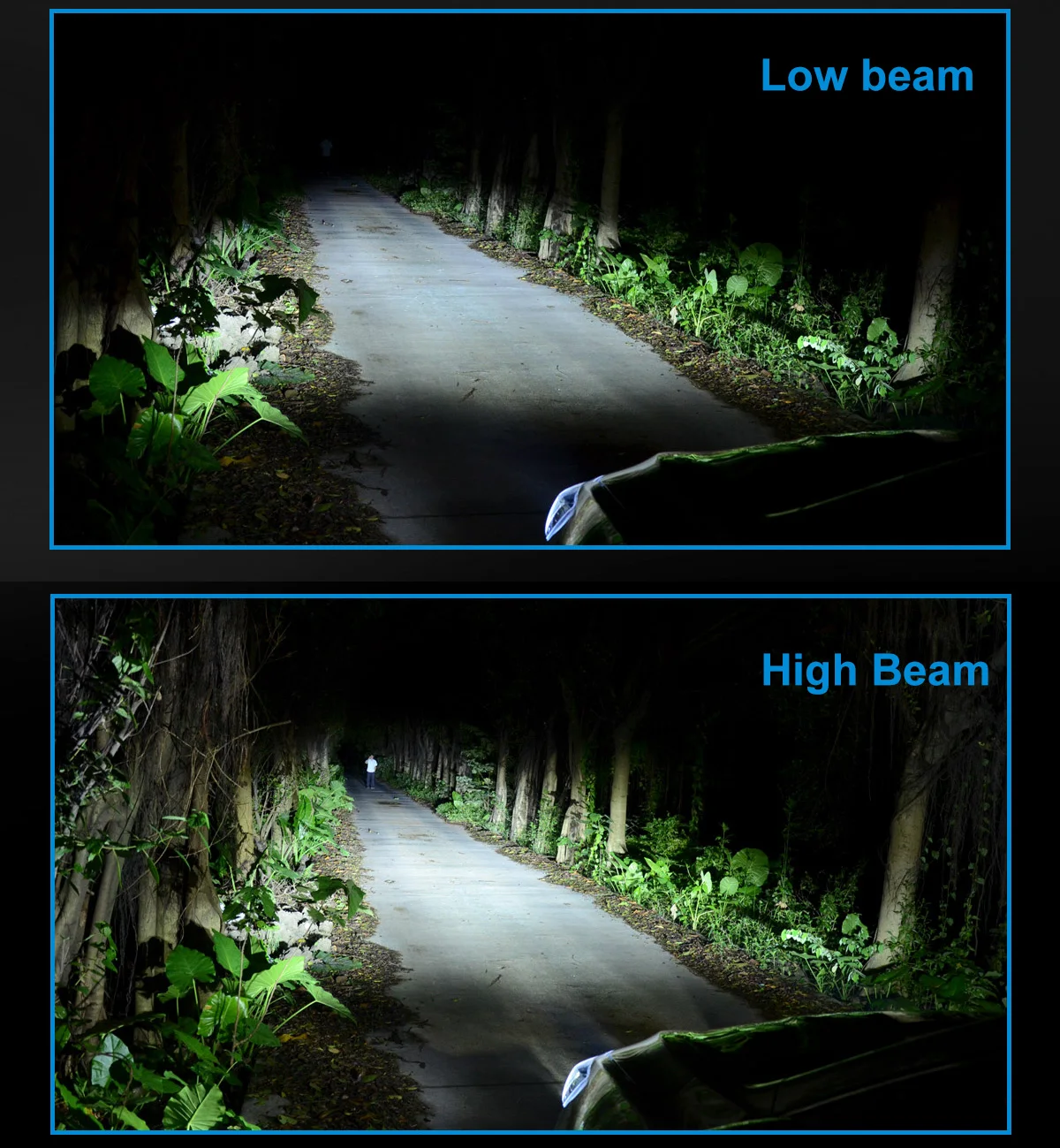 MI2 LED (11)
