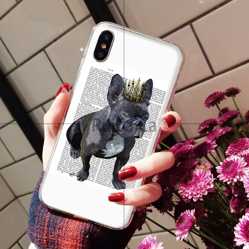Book newspaper background Cute French Bulldog