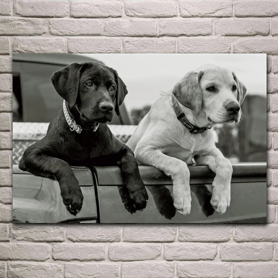 1pc Famille Noir Blanc Retriever Du Labrador Chiot Chien Canard Animal De Compagnie Paysage De La Na Sku 42619