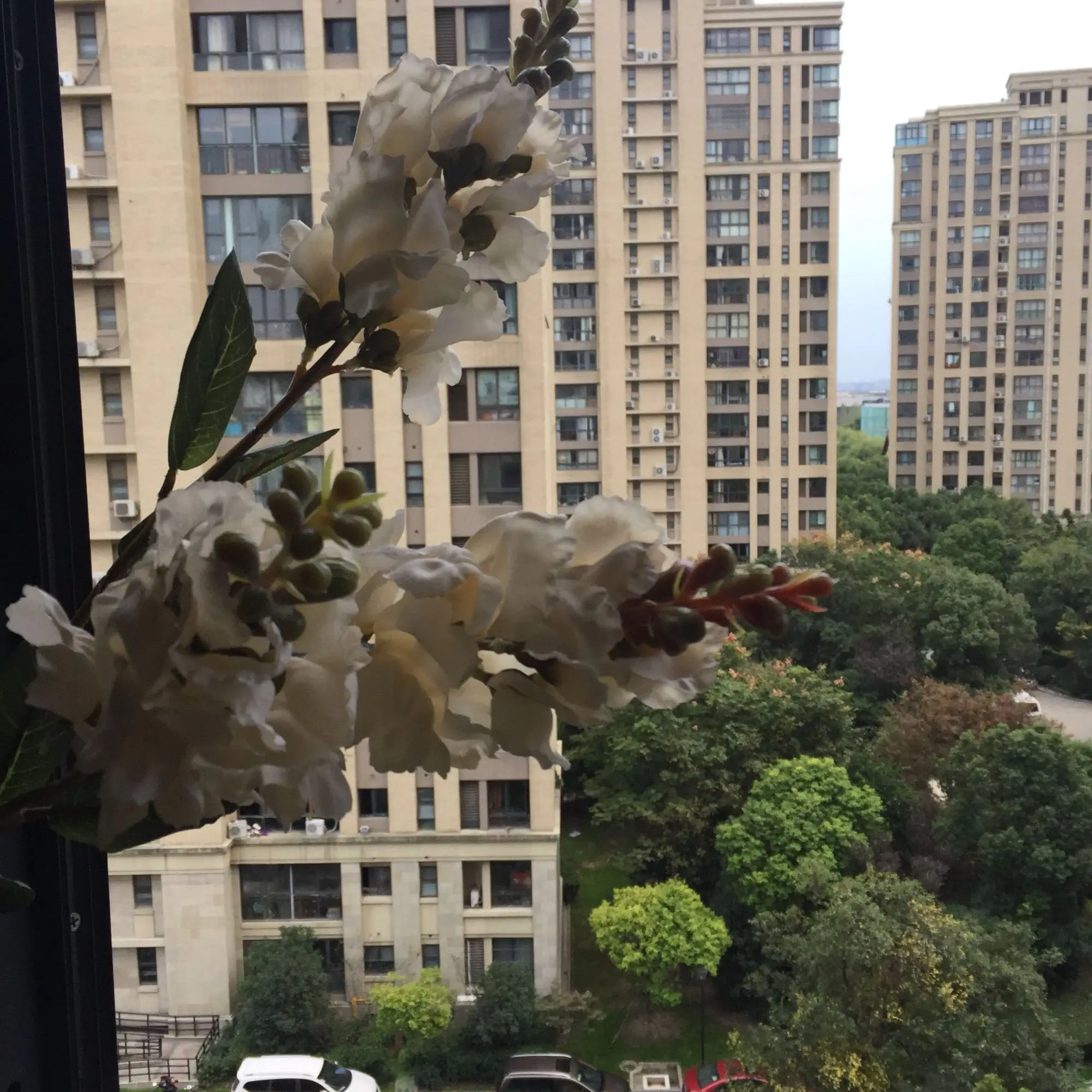 2018-10-25 04:372