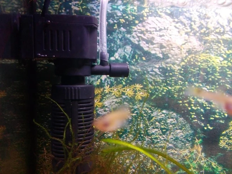 UT81xp5X1dXXXagOFbXp