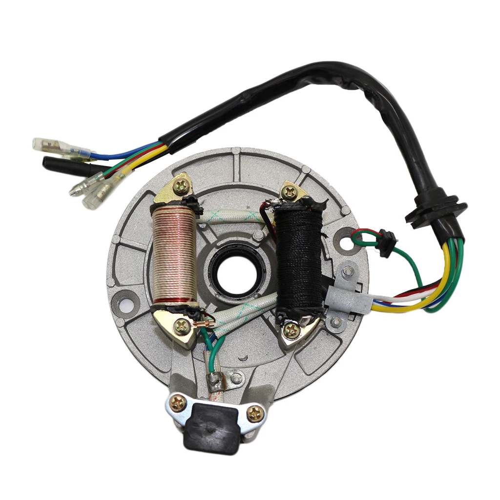 

Heavy Duty Stator Magneto Coil 2 Pole Plate Ignition Foot Starter For JH70 90CC 110CC