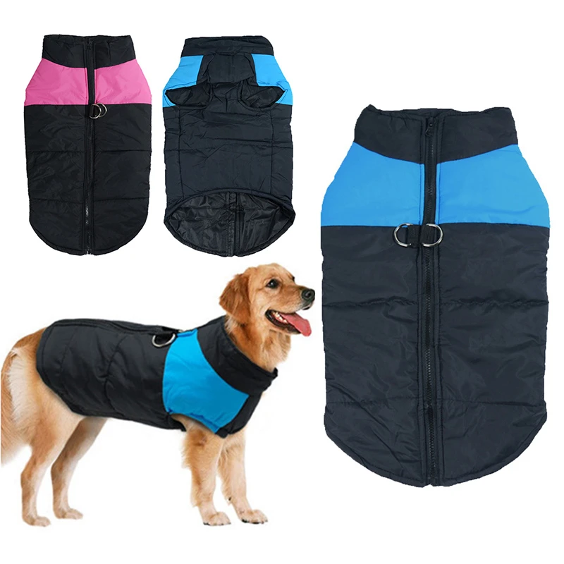dog winter vest