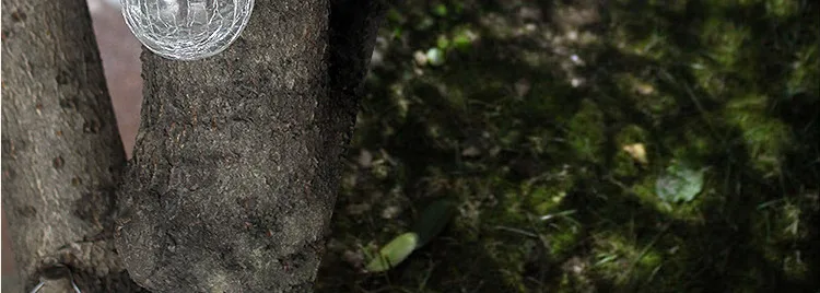 12_