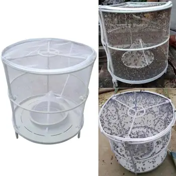 

Detachable Red Drosophila Fly Trap Device Top Catcher Fly Wasp Insect Trapping Fly killer 5O0625