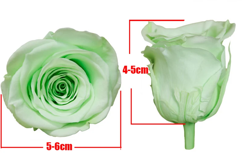 День святого Валентина подарки Сохранились Цветы 6 шт./лот цветы оптом бессмертная роза diy вечной жизни цветы материал 5-6 см