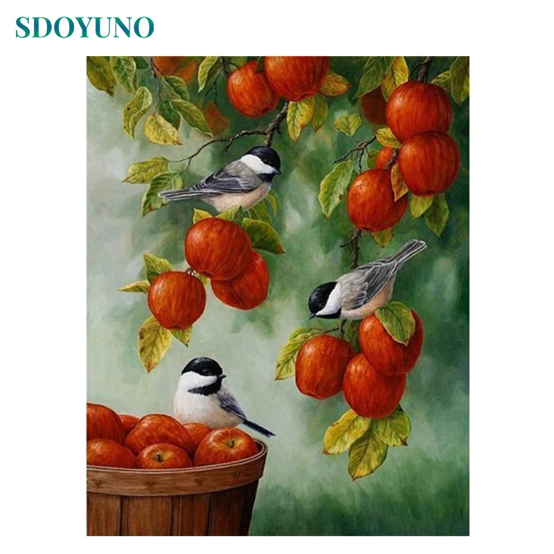 

SDOYUNO Frame Apple Birds DIY Painting By Number Animals Modern Home Wall Art Picture Painting & Calligraphy Unique Gift 40x50