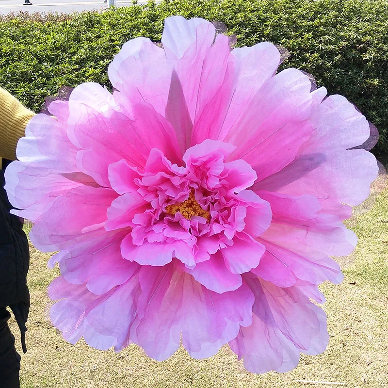 IMG20180323145221