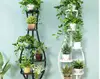 Garden Supplies