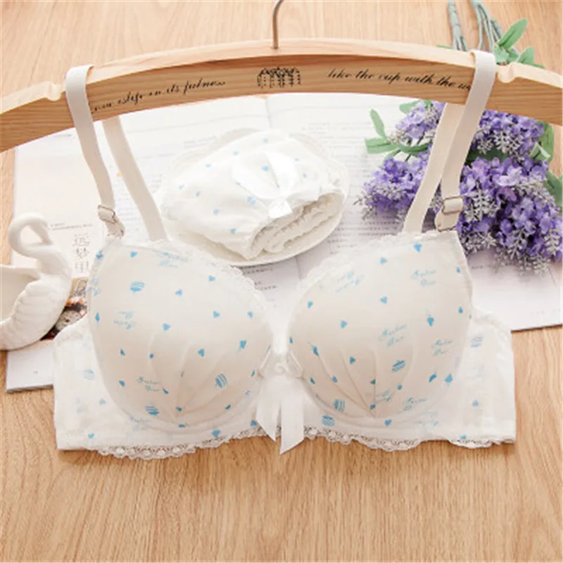 Hot sale Intimates brand vintage dot lace push up Girls bra young girl underwear lingerie cotton brassiere AB cup