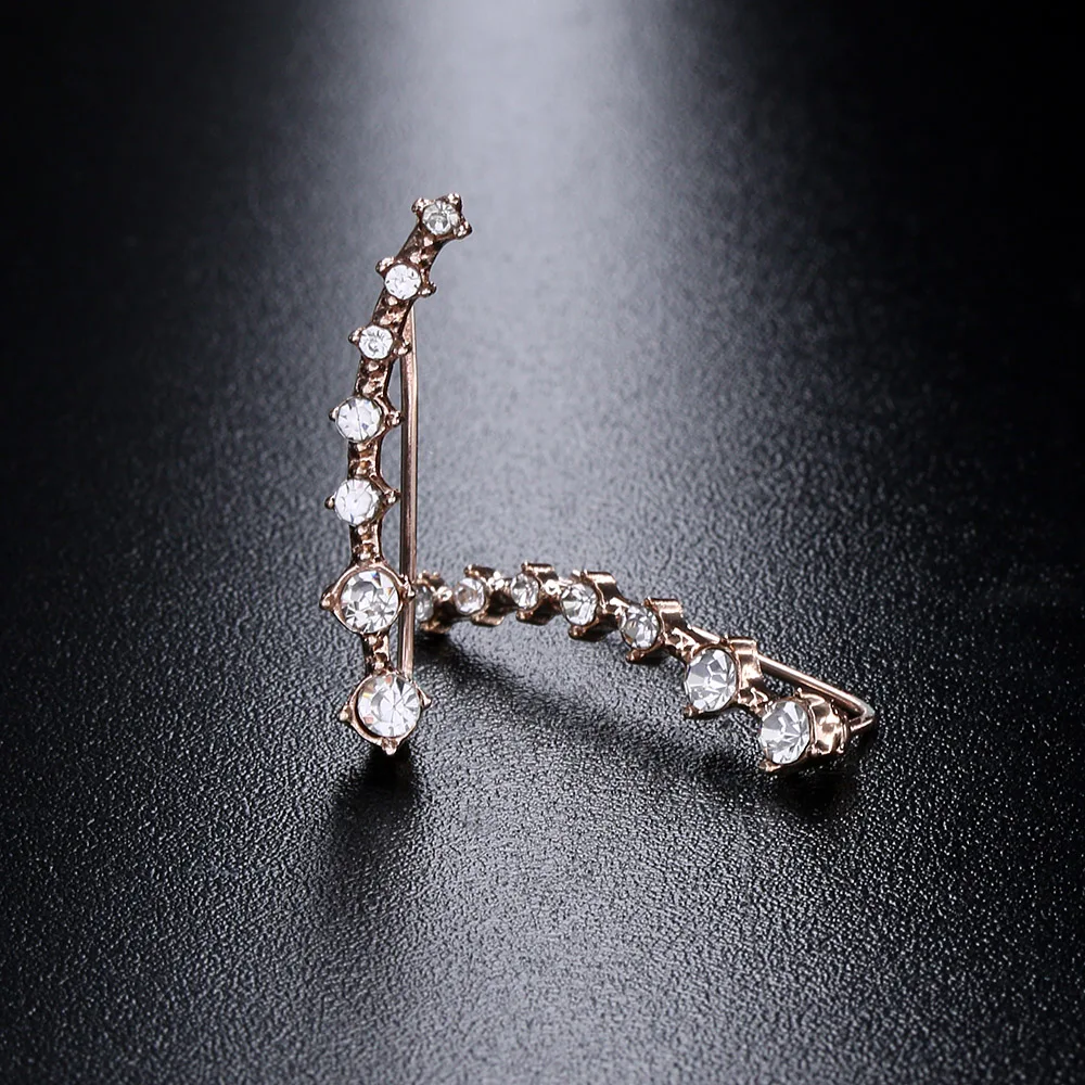 

1 Pair White &Rose Gold Color Dipper Hook Earrings For Women Shiny Rhinestone Crystal Stud Earrings Jewelry Boucle D'oreille