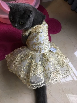 Новая принцесса собака кошка свадебное платье пачка домашнее животное щенок Платья Щенок вечерние юбки вышивка кошка одежда Apperal XS-XL
