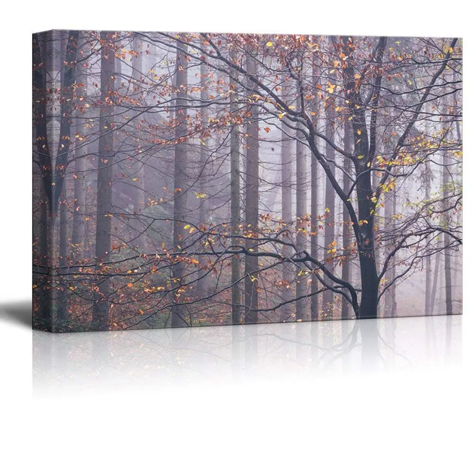 71%2Bb%2BIF9bOL._SL1000_