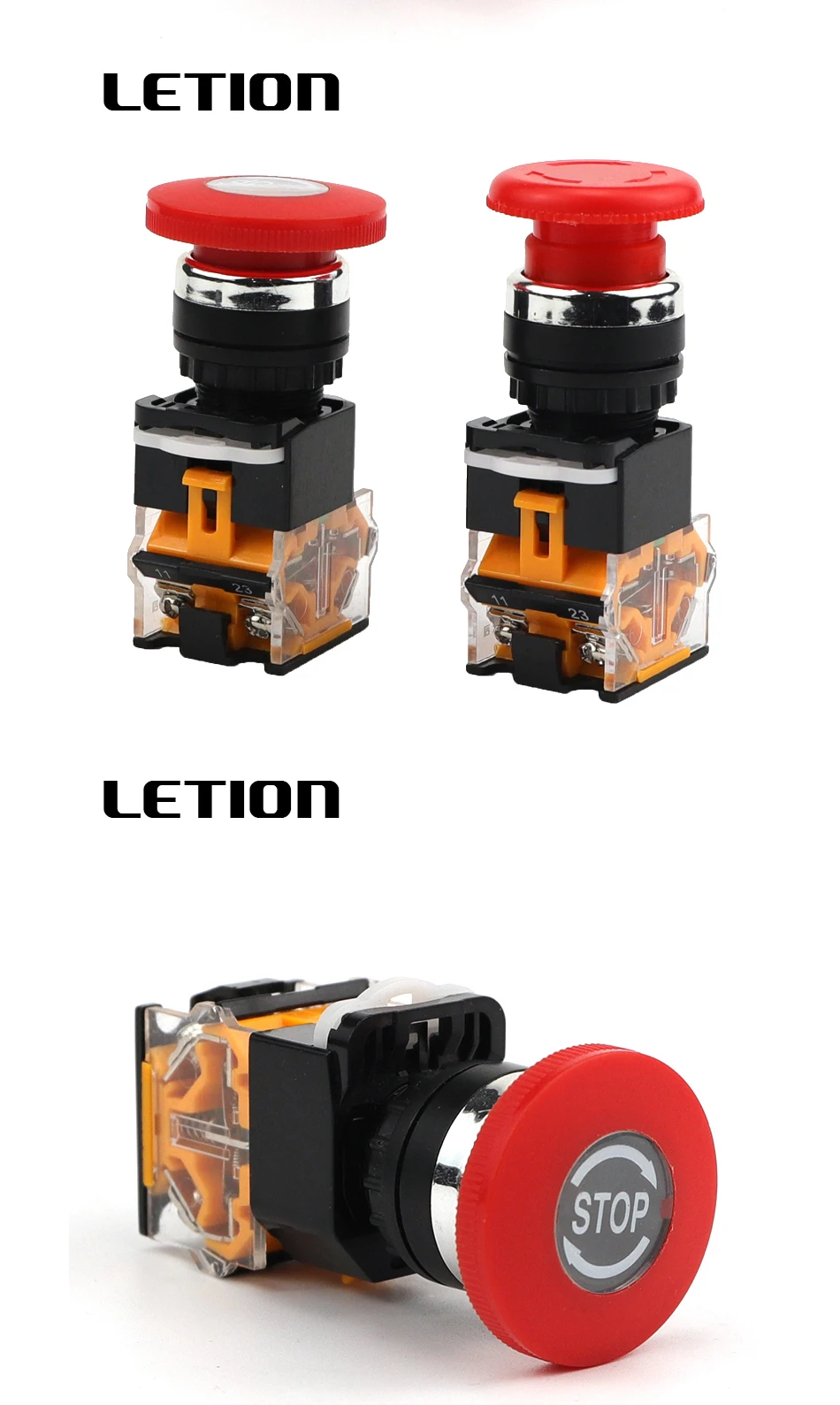 235436456_02