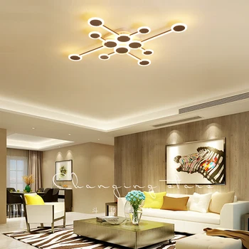 

Ceiling lamp Special Customization modern style Creative Room lamp LED Northern Europe Bedroom chandelier Free Delivery
