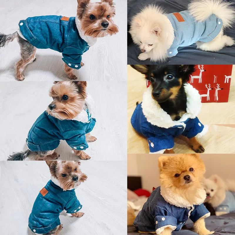 Корейская мода, зимняя одежда для собак, теплое джинсовое пальто для собак, джинсовая одежда для щенков, костюм для животных, костюм для чихуахуа, пуделя, бишон, пальто 35