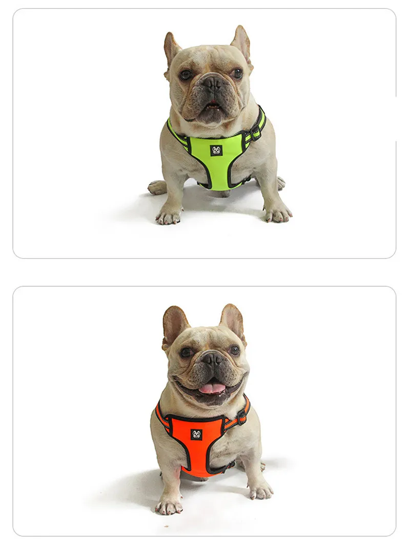 Dog Harness and Leash Set  (15)