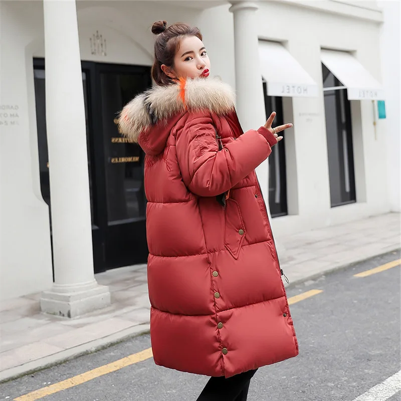 Coats