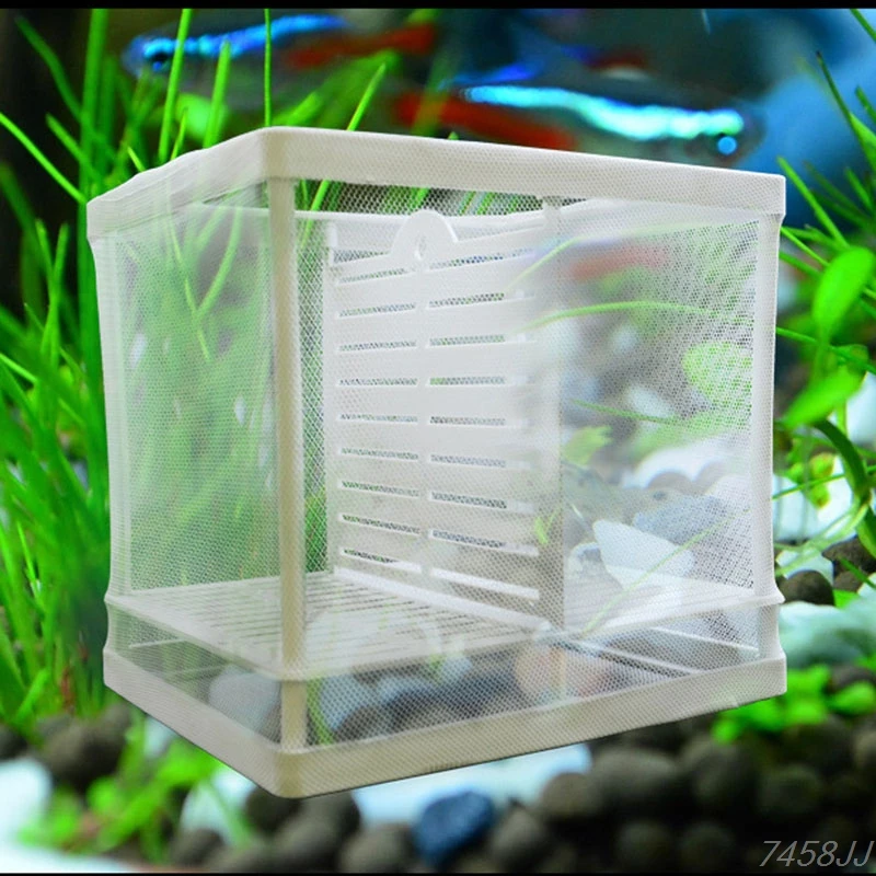 Fishing Net Breeder Aquarium Fish Tank Fry Breeding Hatchery Partition