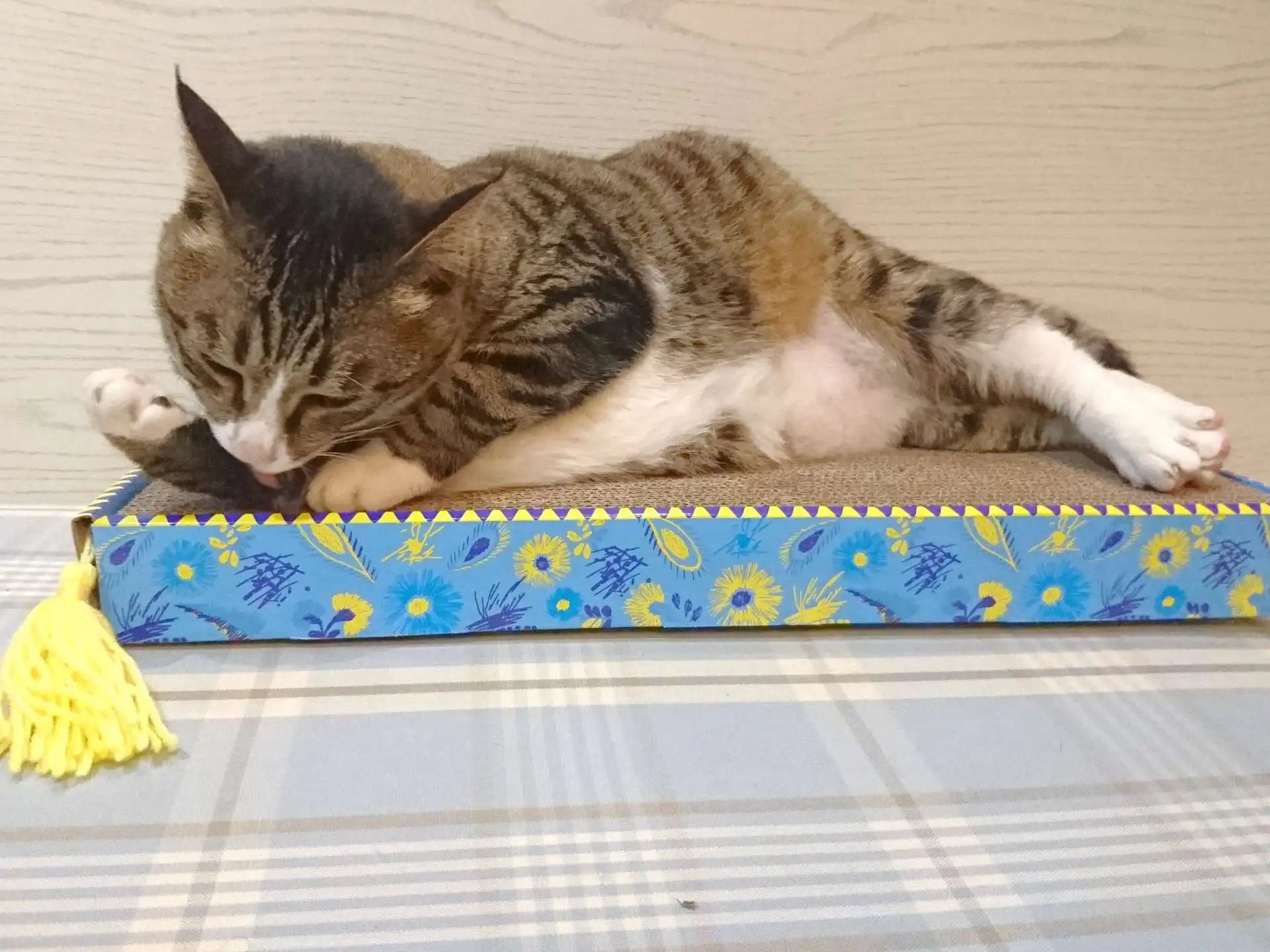 DSC_2211_副本