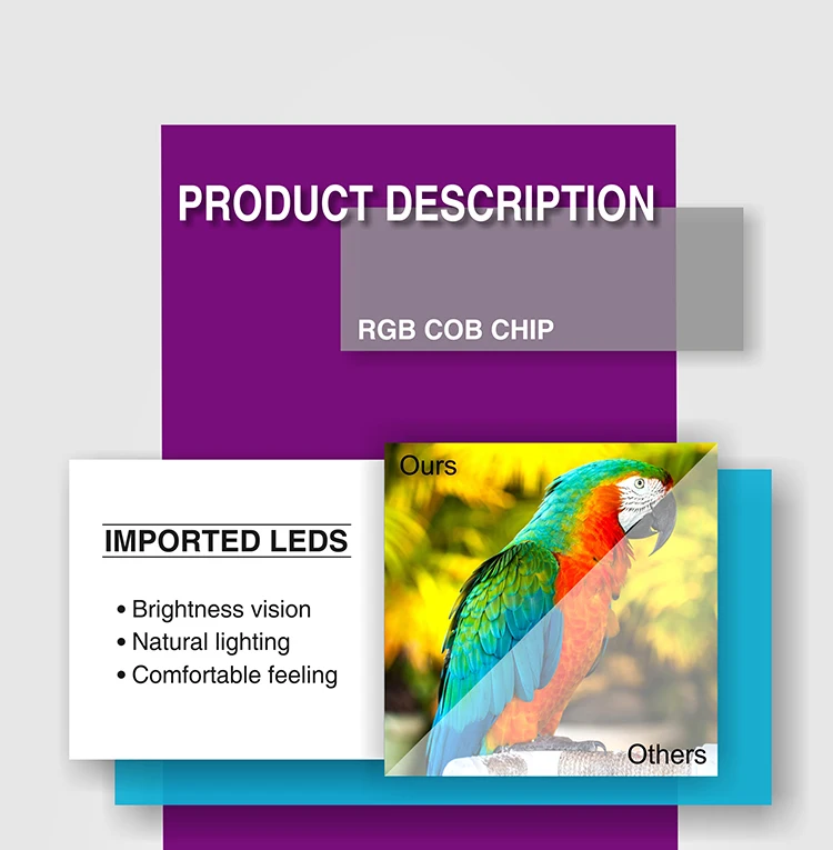 CTOB-RGB_03_01