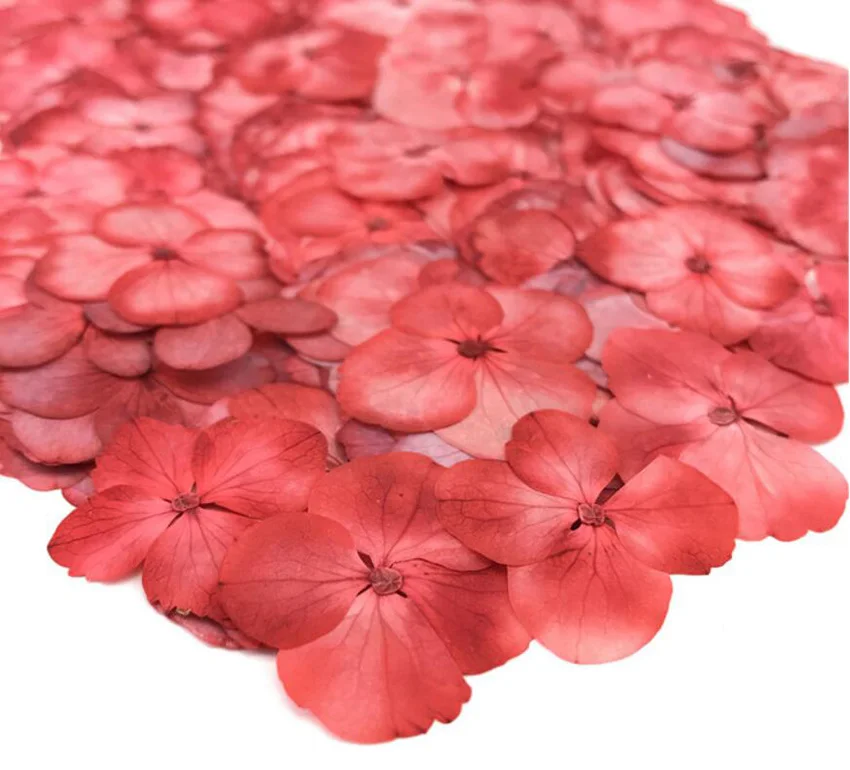 (HSWL)-red