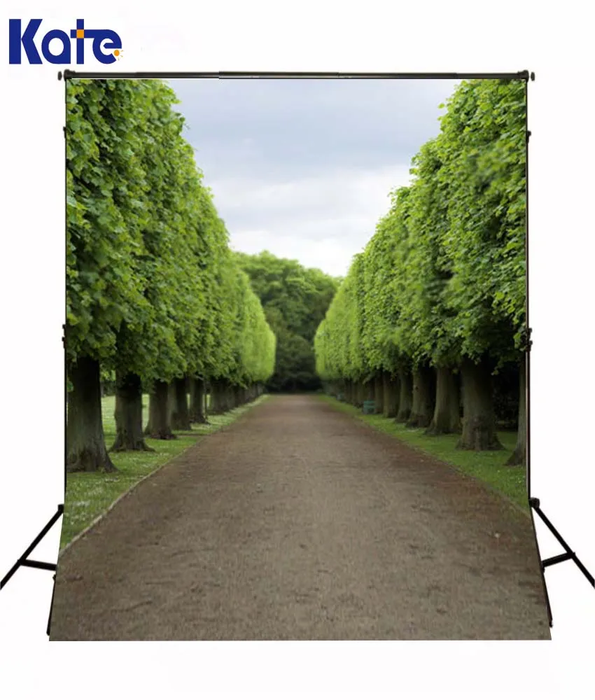 

10*6.5Feet(300*200Cm) Photography Backdrops Photography Background Fotografia Tree Woods Road